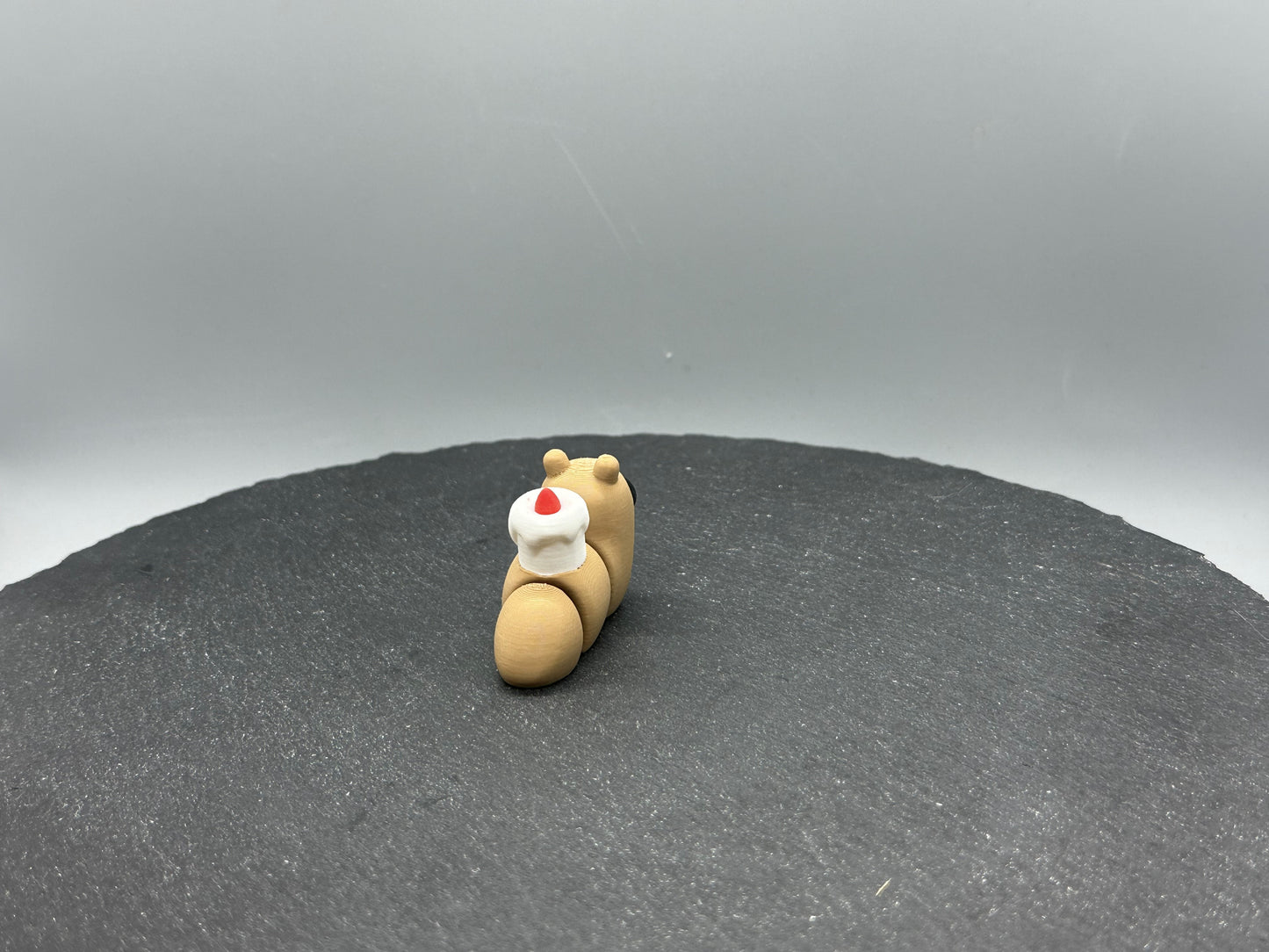Articulated Candle Snail