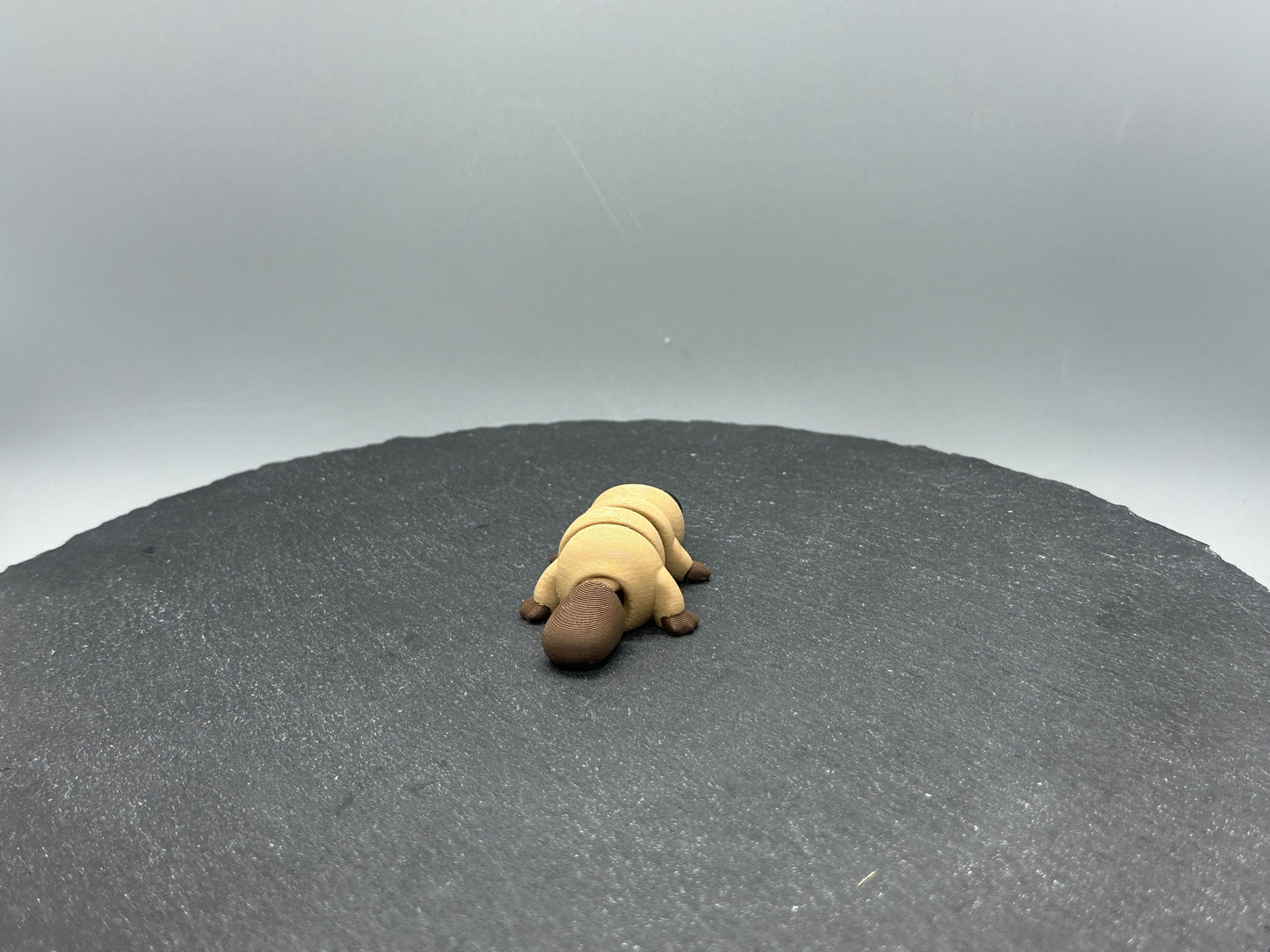 Articulated Platypus