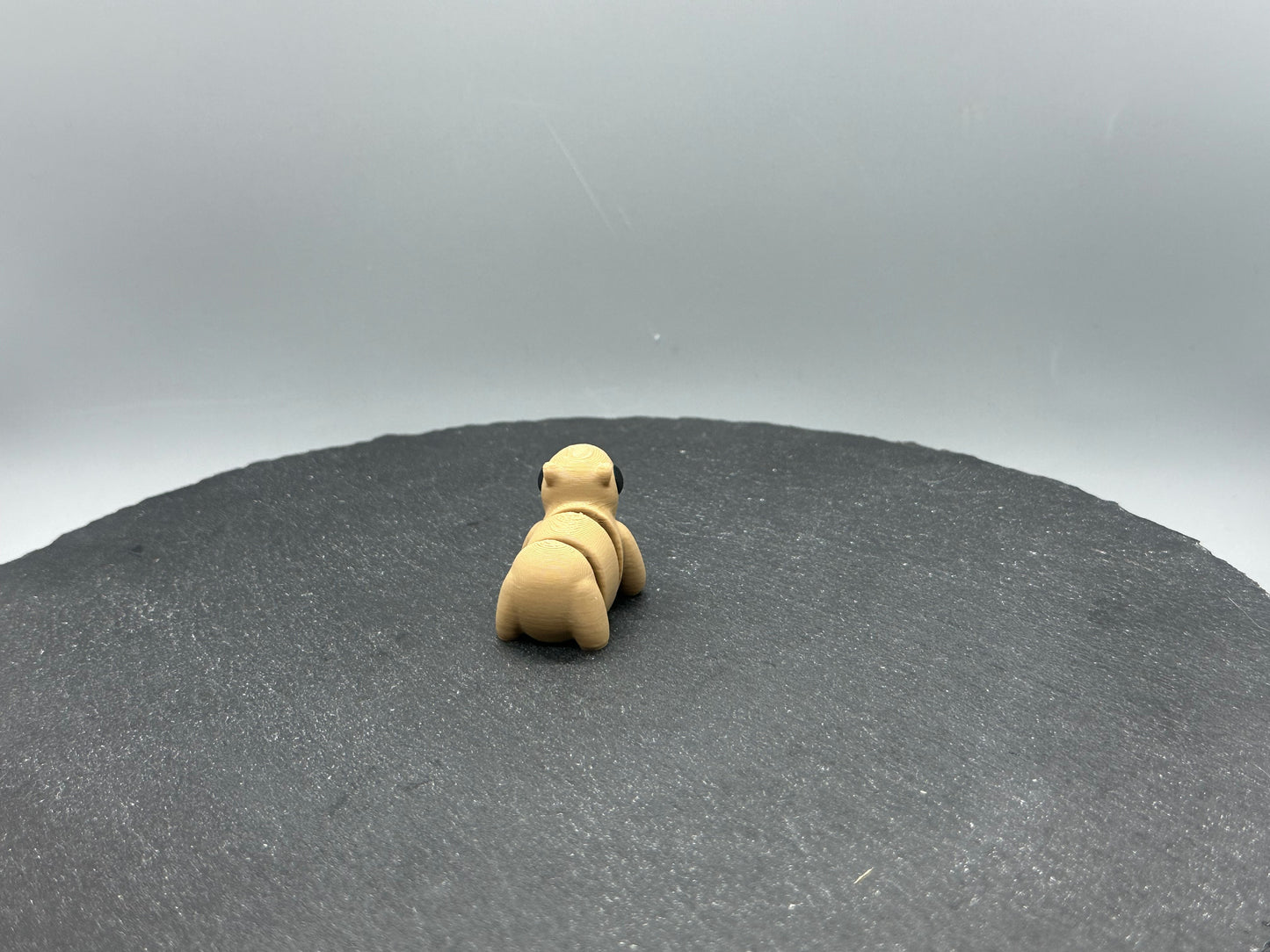 Articulated Capybara