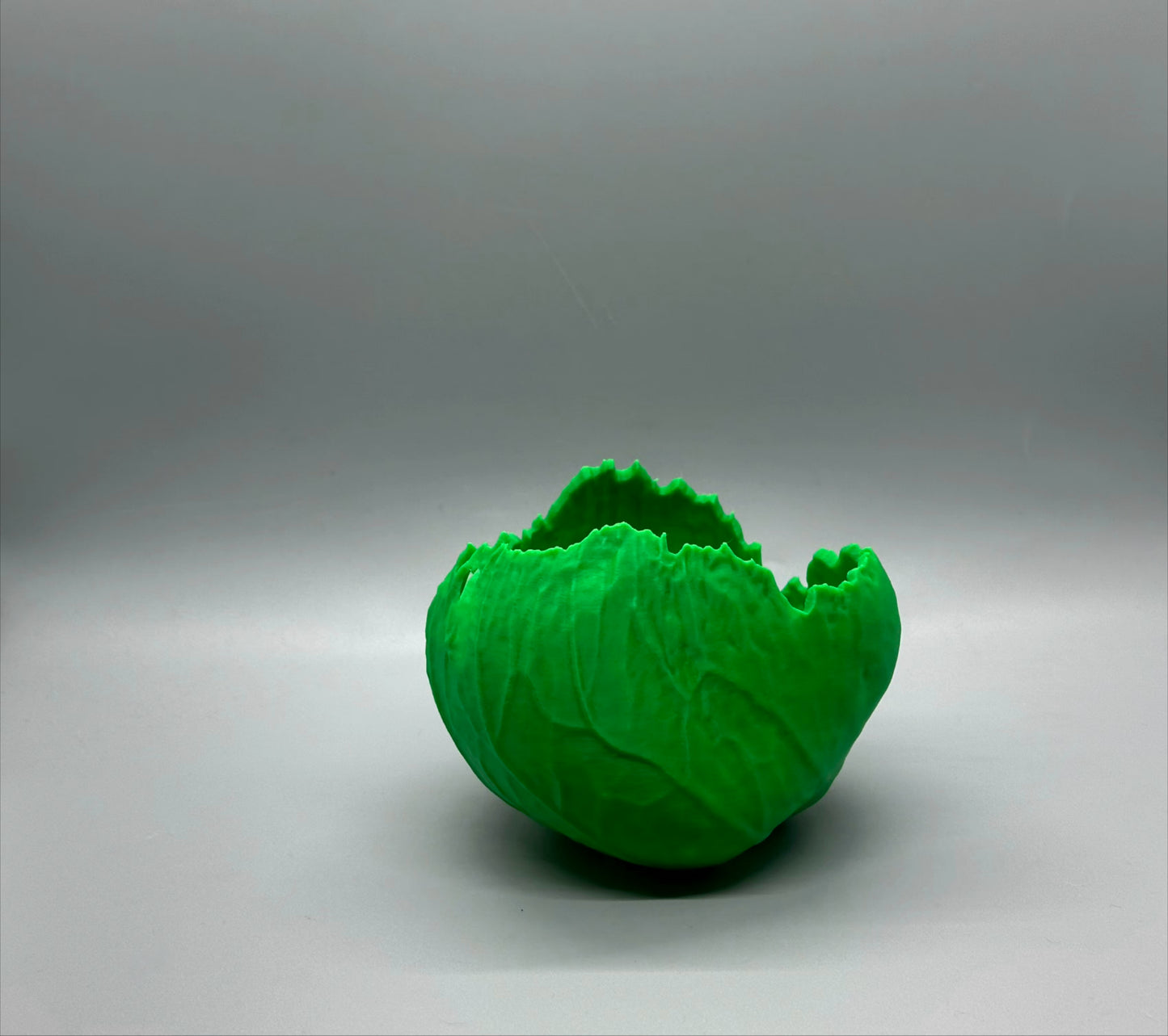 Cabbage Planter