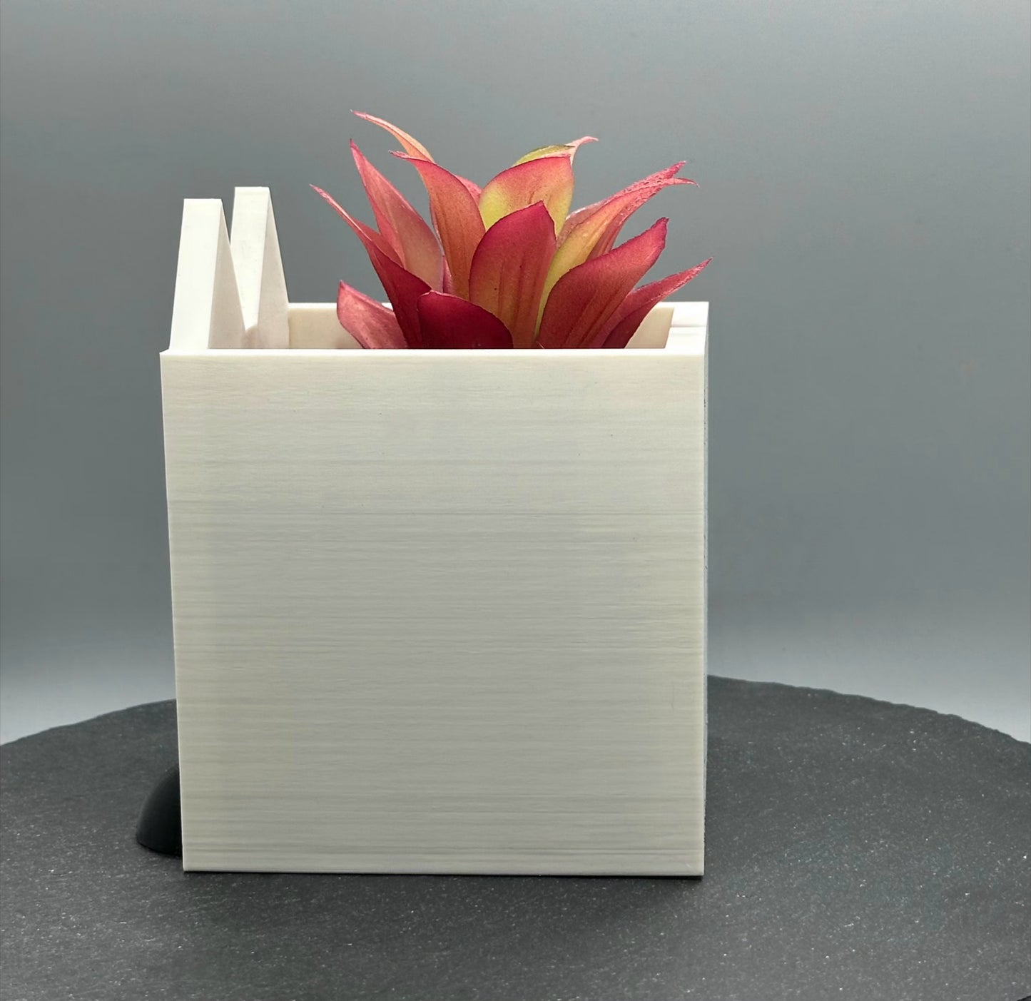 Cat Planter