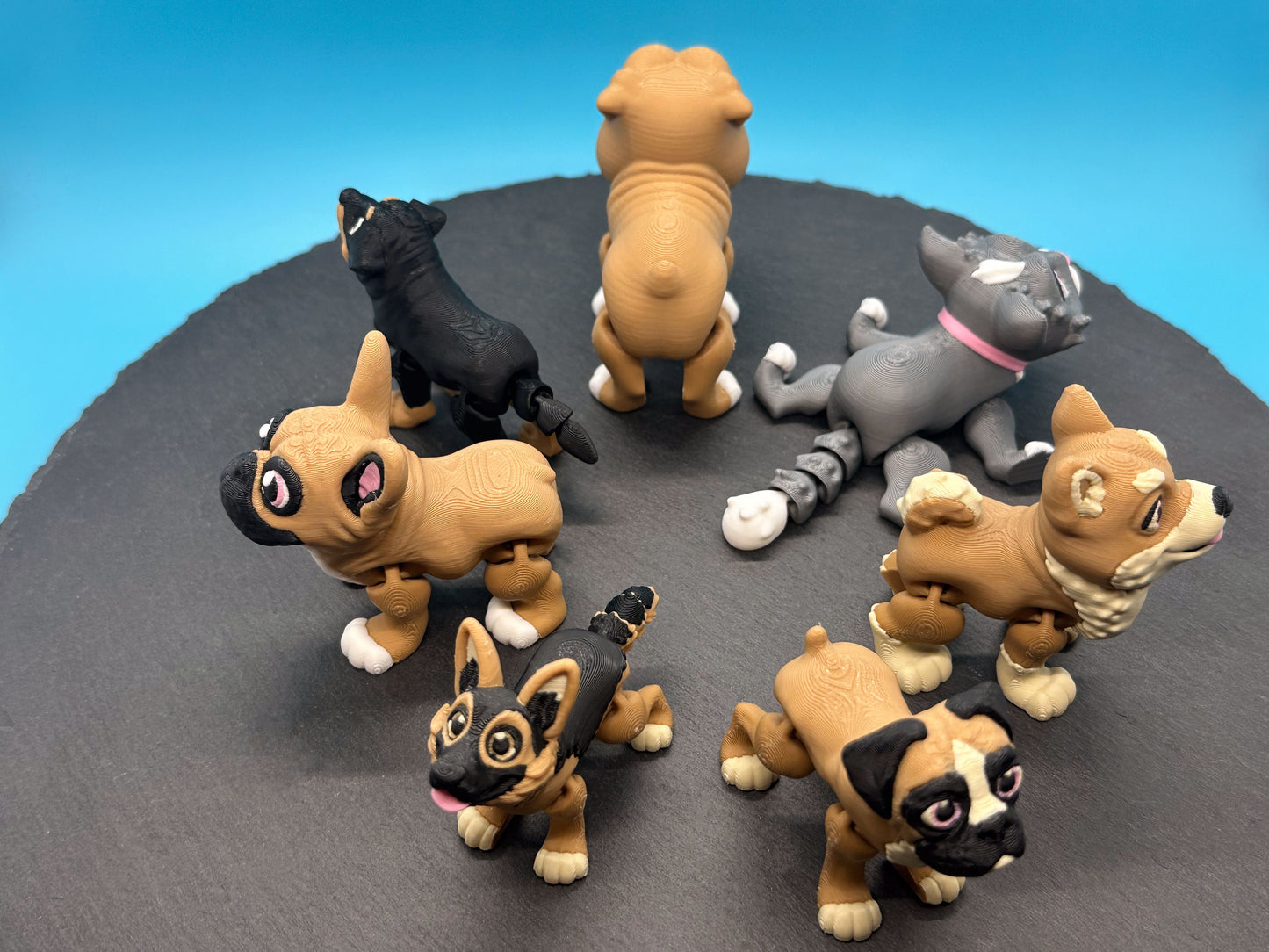 Variety Dog & Cat Breed Fidgets