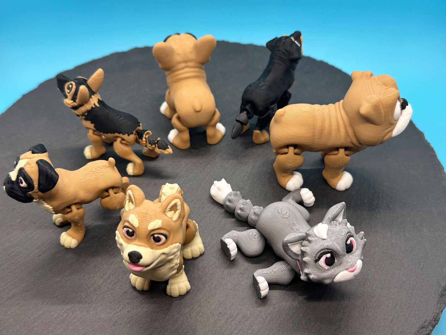 Variety Dog & Cat Breed Fidgets