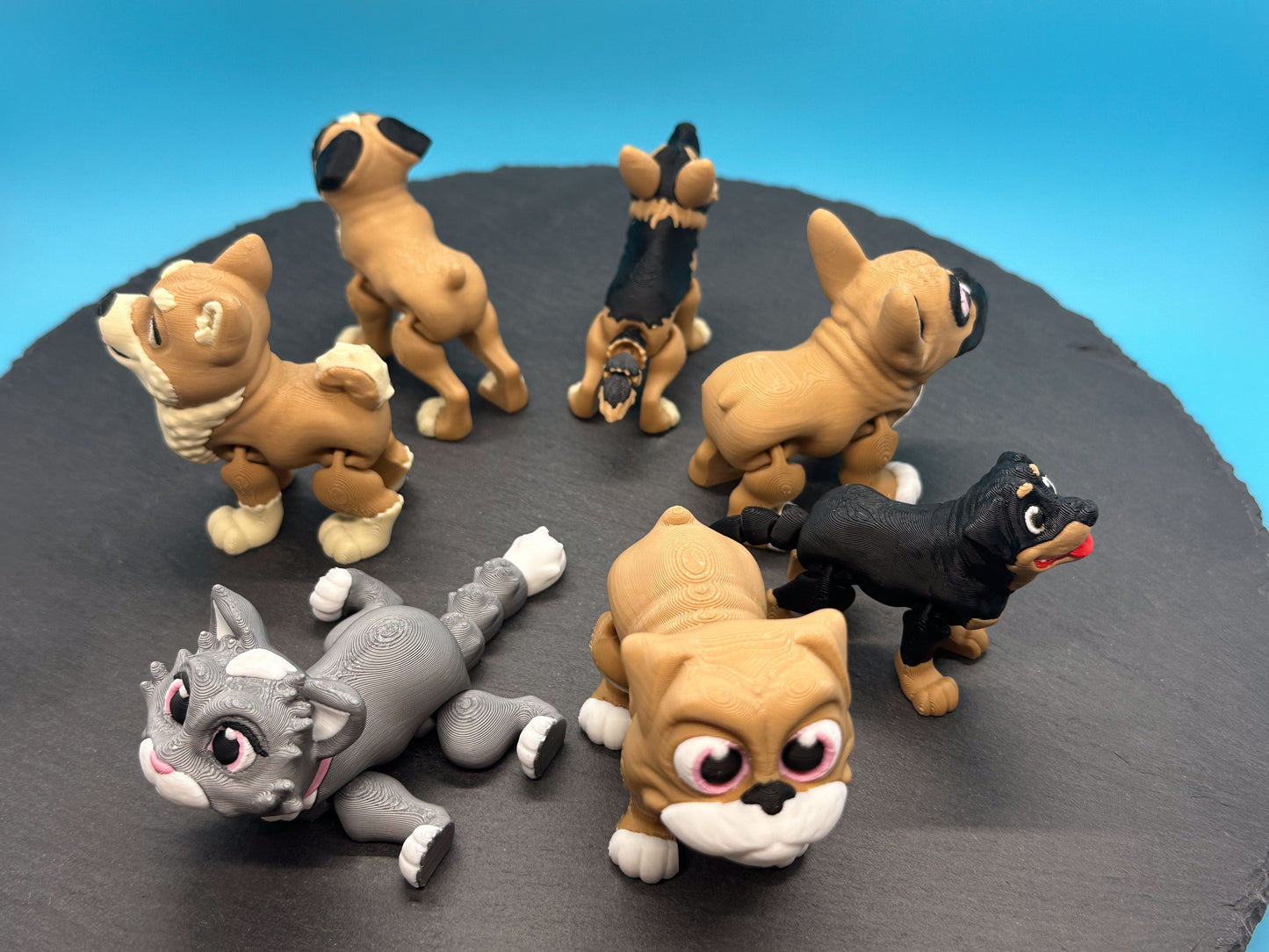 Variety Dog & Cat Breed Fidgets