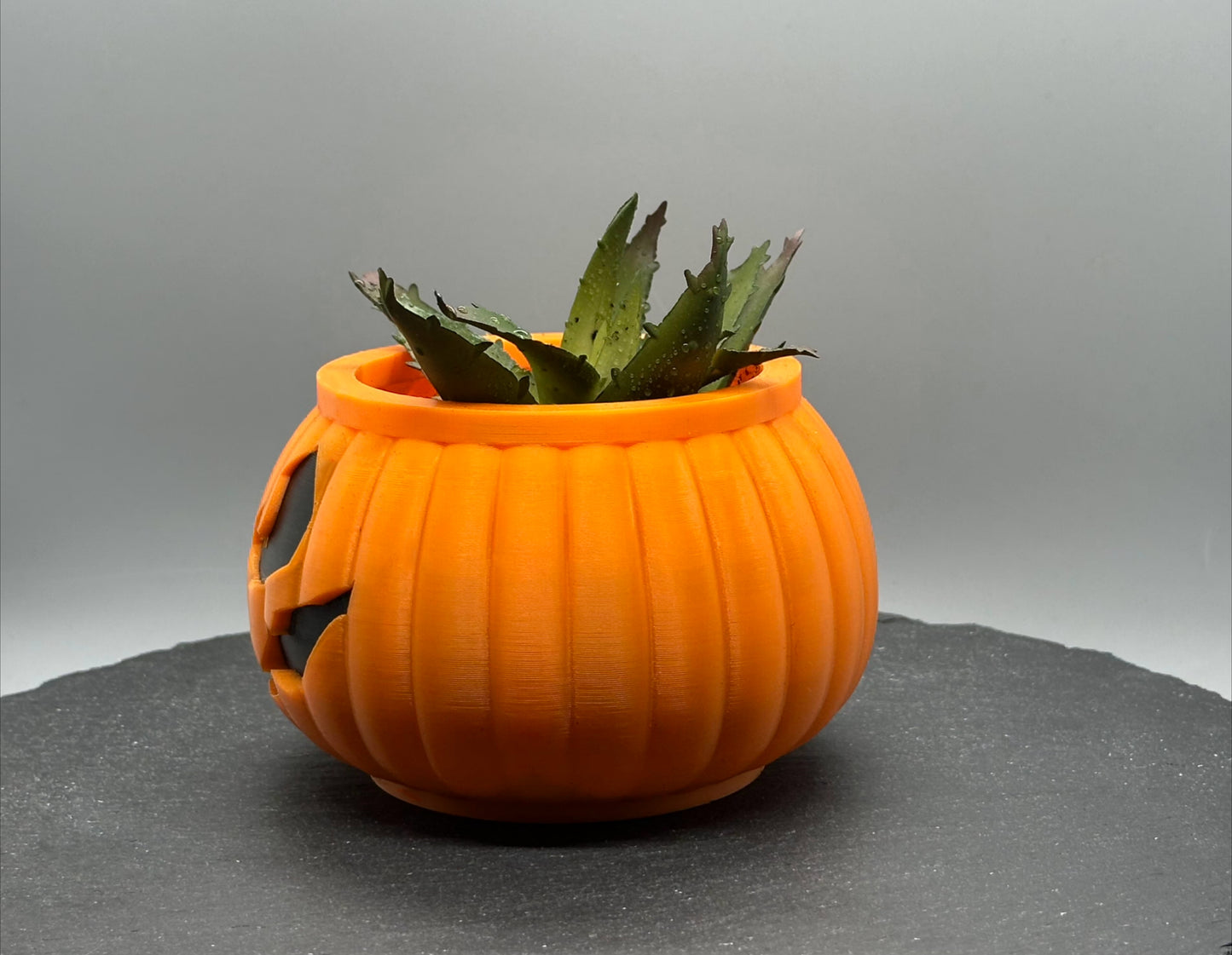 Jack-o-Lantern Planter