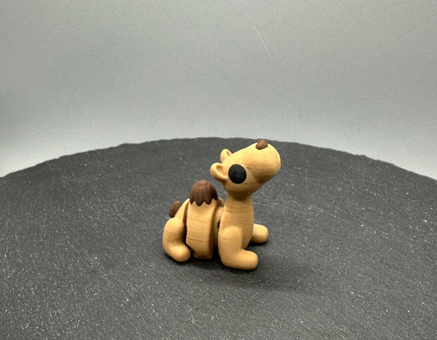 Articulated Camel