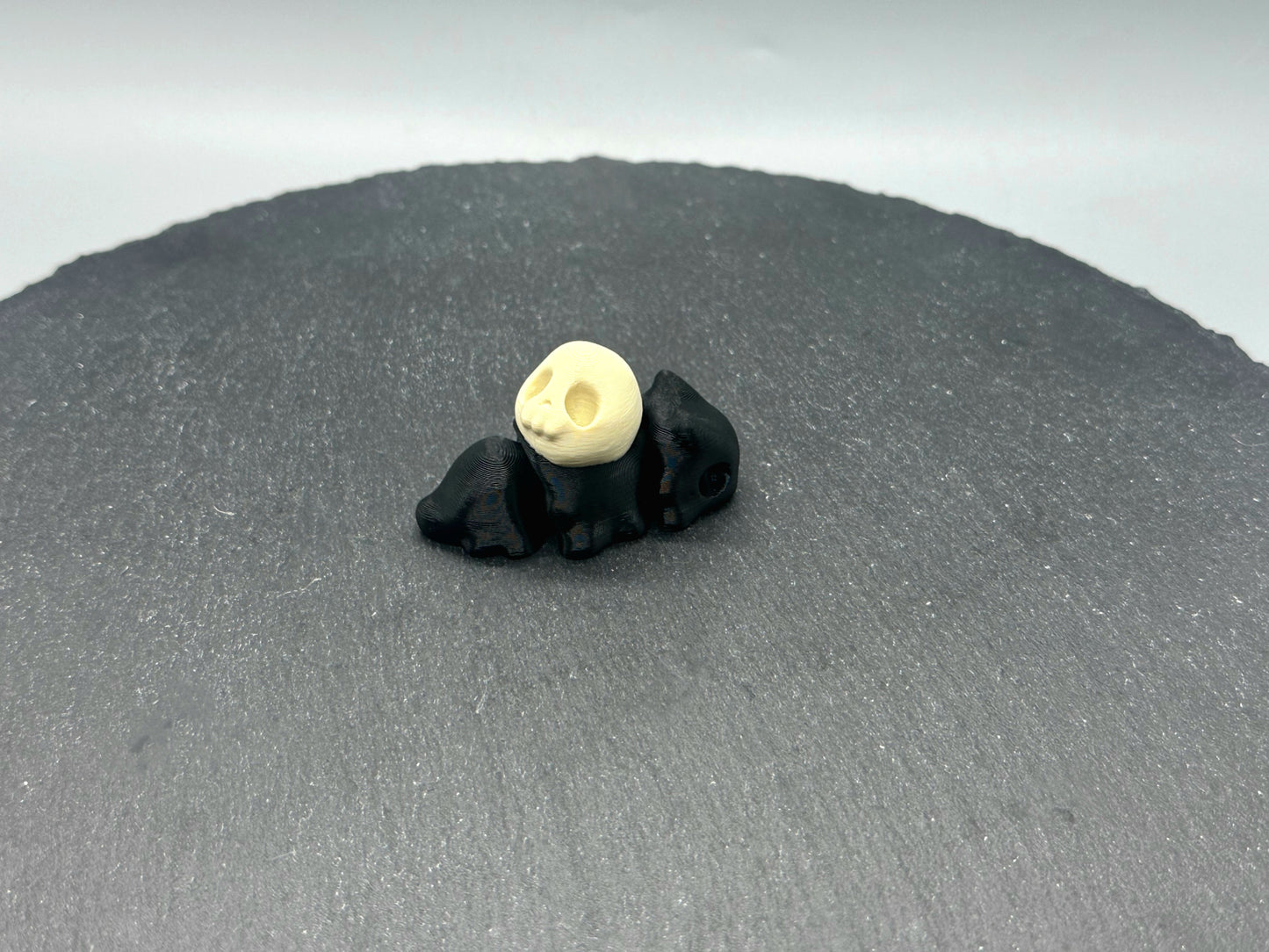 Articulated Skull Snail