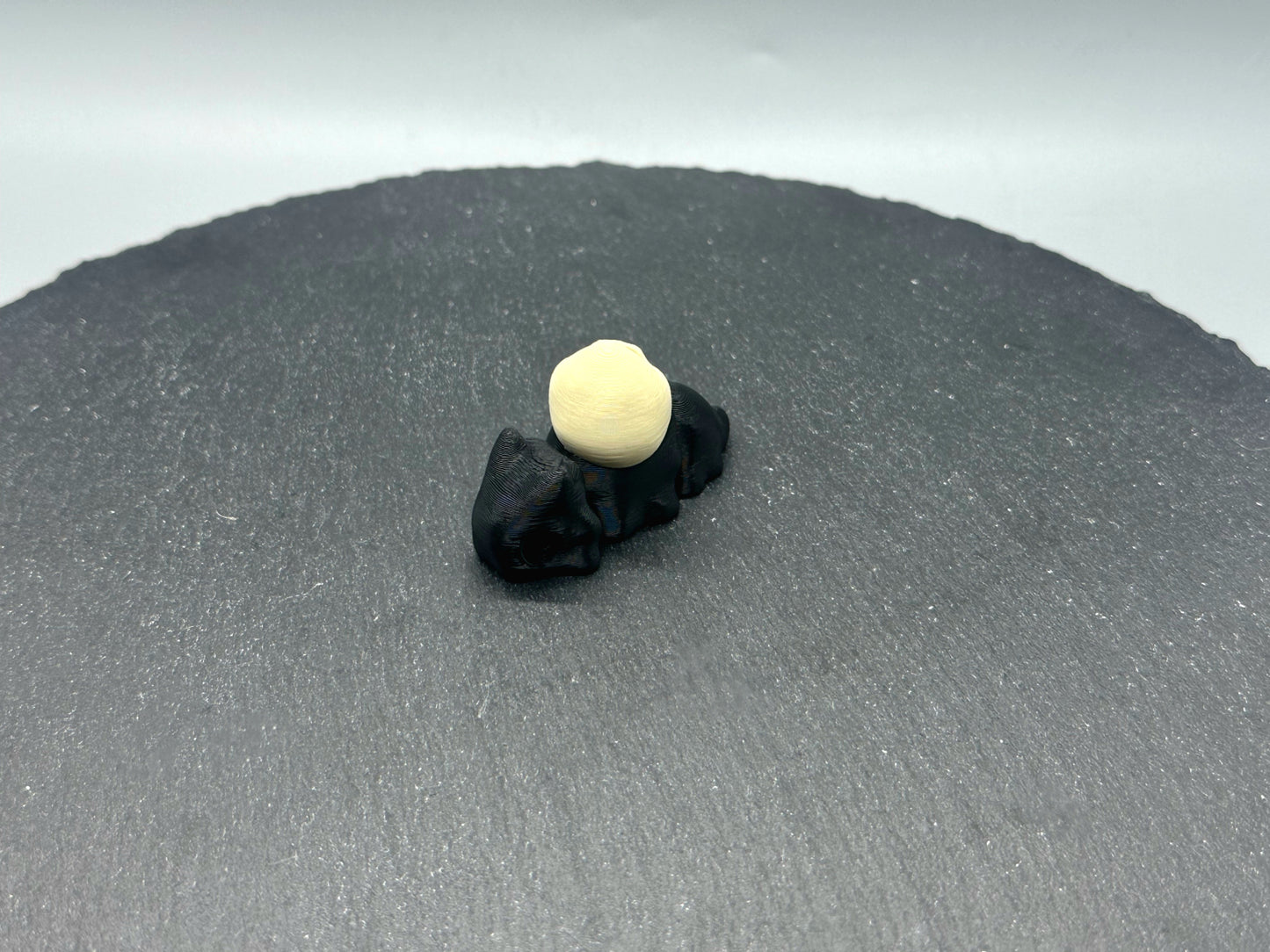 Articulated Skull Snail