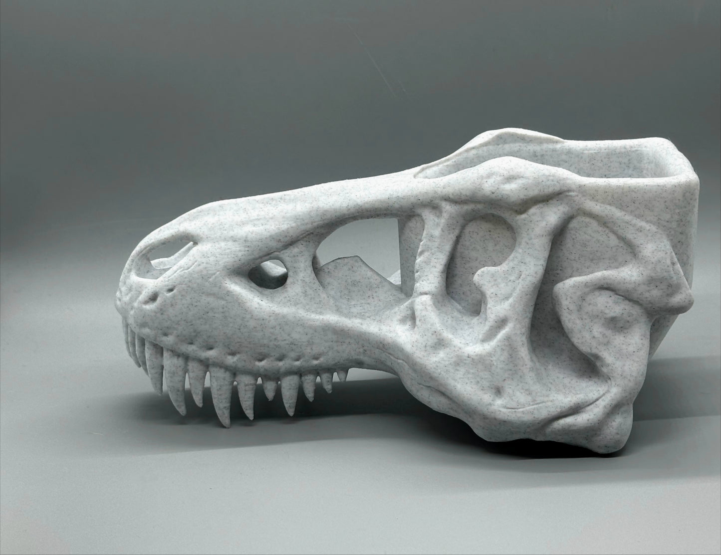 T-Rex Skull Planter