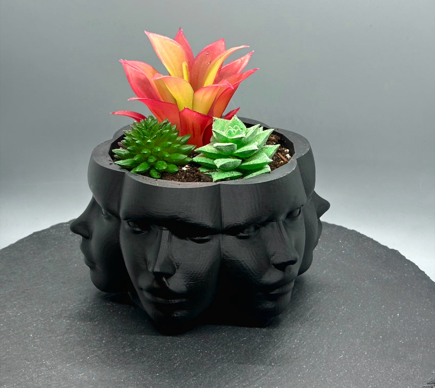 Vase Faces Planter