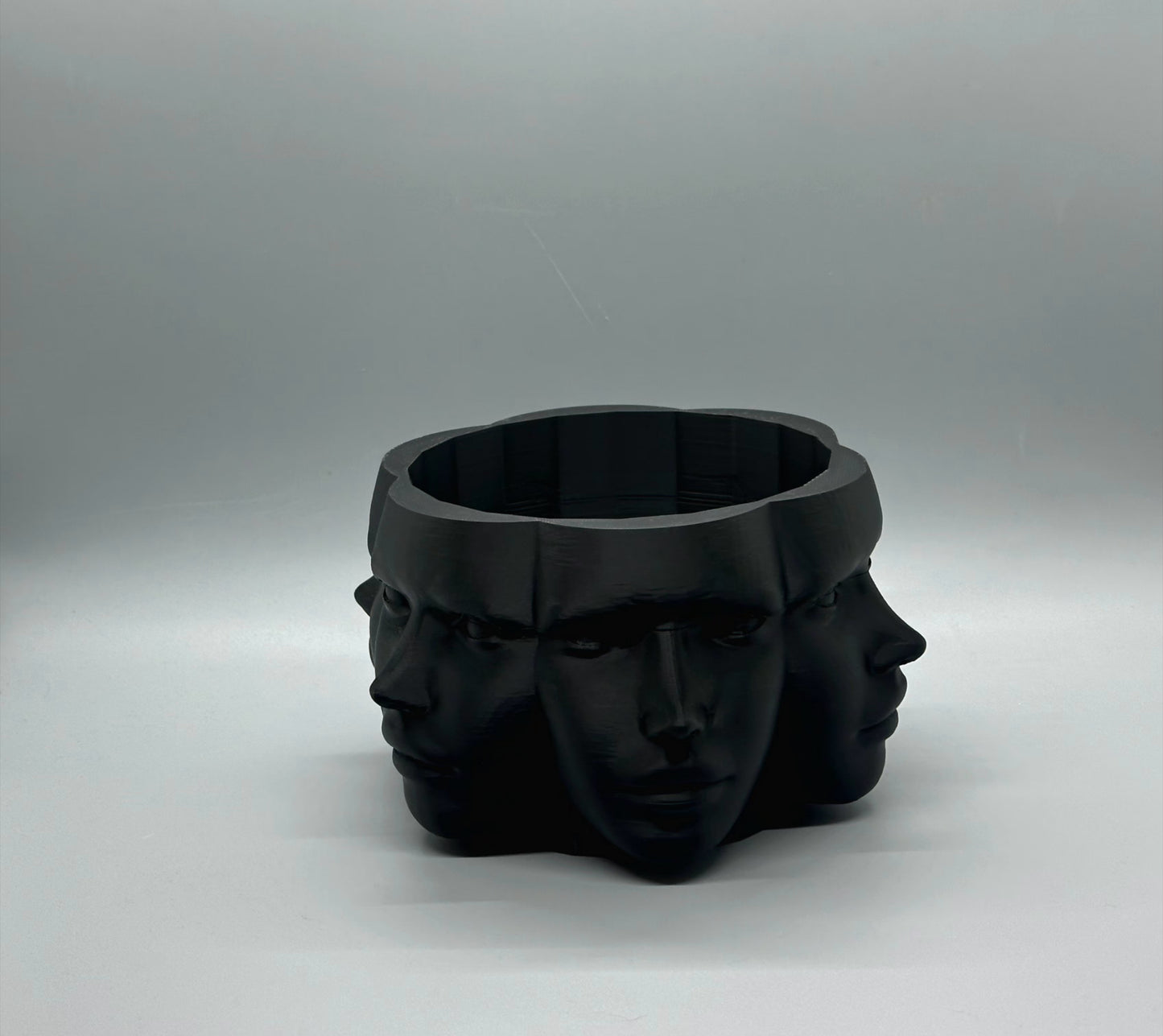 Vase Faces Planter