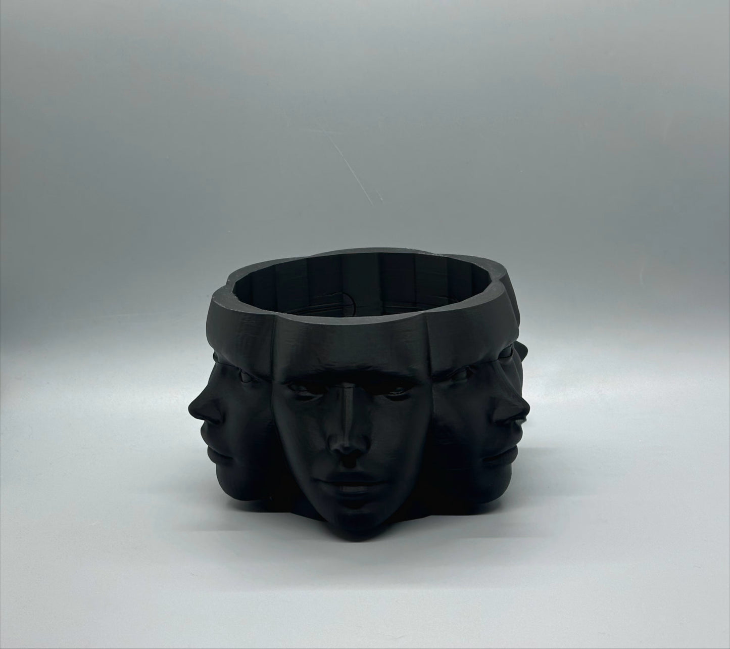 Vase Faces Planter