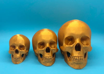 Full Skull Human Skull – 3D-printed articulated flexi fidget toy by 3DHotshop