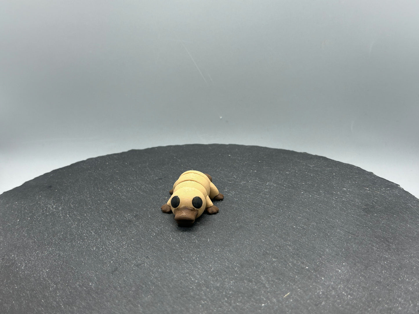 Articulated Platypus