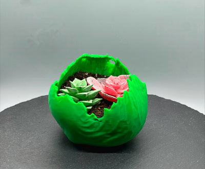 Cabbage Planter – 3D-printed succulent planter by 3DHotshop