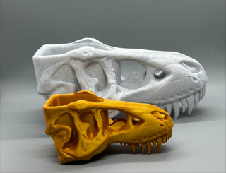 T-Rex Skull Planter – 3D-printed succulent planter by 3DHotshop