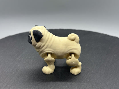 Variety Dog Breed Fidgets