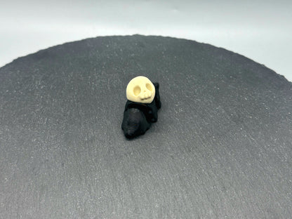Articulated Skull Snail