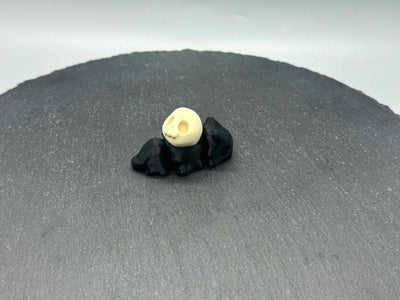 Articulated Skull Snail – 3D-printed articulated flexi fidget toy by 3DHotshop