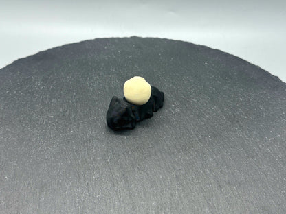 Articulated Skull Snail