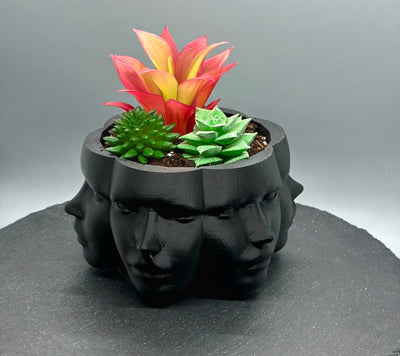Vase Faces Planter – 3D-printed succulent planter by 3DHotshop