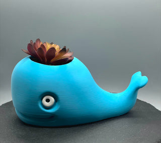 Whale Planter – 3D-printed succulent planter by 3DHotshop