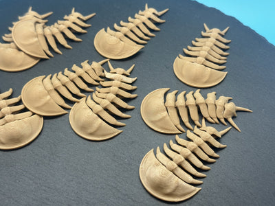 Articulated Trilobite – 3D-printed articulated flexi fidget toy by 3DHotshop