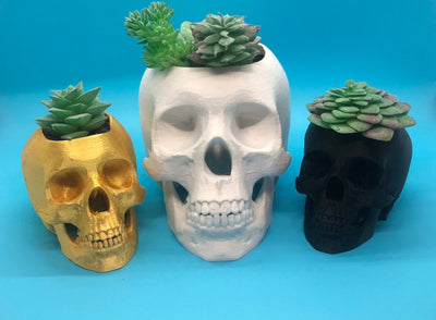 Skull Planter – 3D-printed succulent planter by 3DHotshop