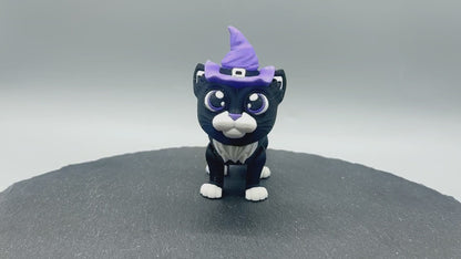 Luna the Witch Cat Fidget