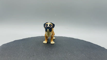 Variety Dog & Cat Breed Fidgets