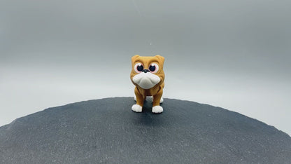 Variety Dog & Cat Breed Fidgets