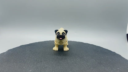 Variety Dog & Cat Breed Fidgets