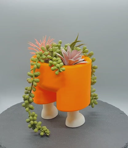 Pants Planter