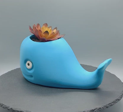 Whale Planter