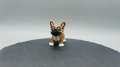 Variety Dog & Cat Breed Fidgets
