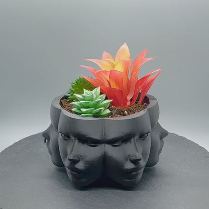 Vase Faces Planter